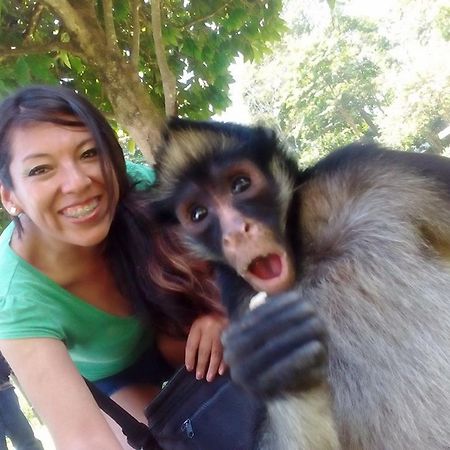 Avatar Amazon Lodge & Canopy Park Санта-Тереса Экстерьер фото