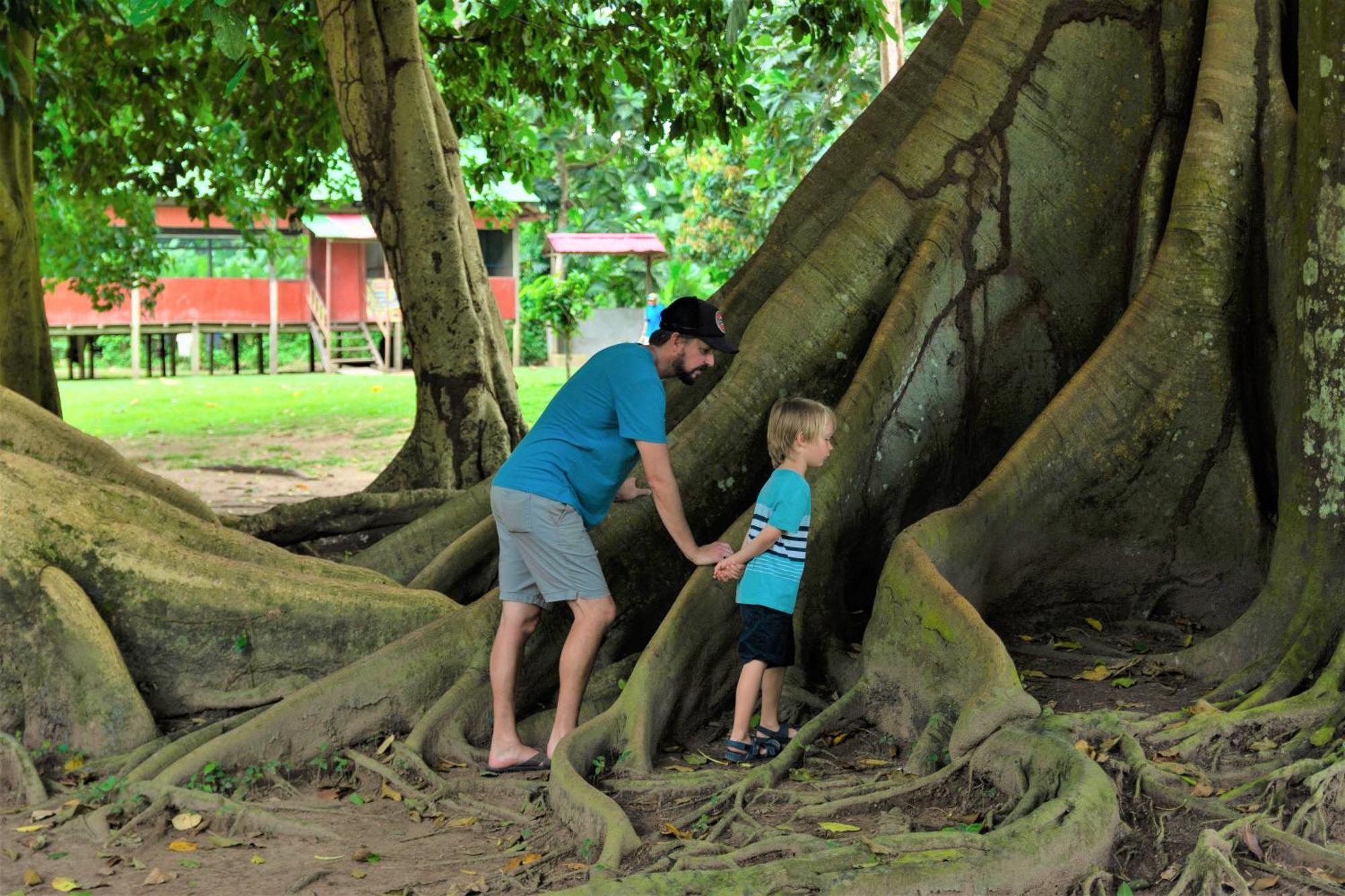 Avatar Amazon Lodge & Canopy Park Санта-Тереса Экстерьер фото