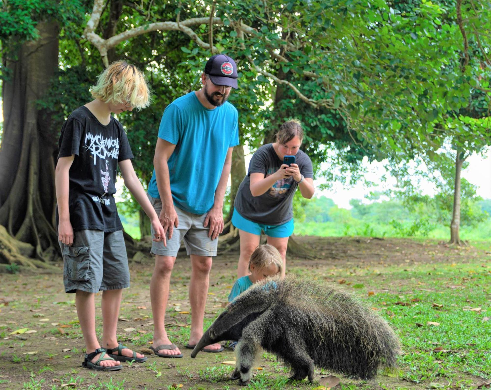 Avatar Amazon Lodge & Canopy Park Санта-Тереса Экстерьер фото